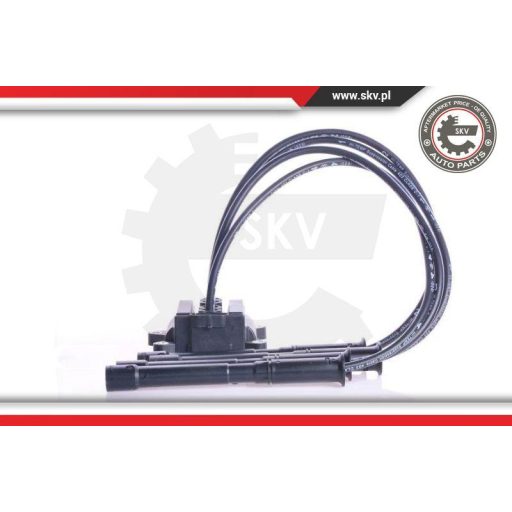 Gyújtótrafó ; DACIA Logan Sandero NISSAN Kubistar RENAULT Clio Kangoo Twingo ; 2244800QAF