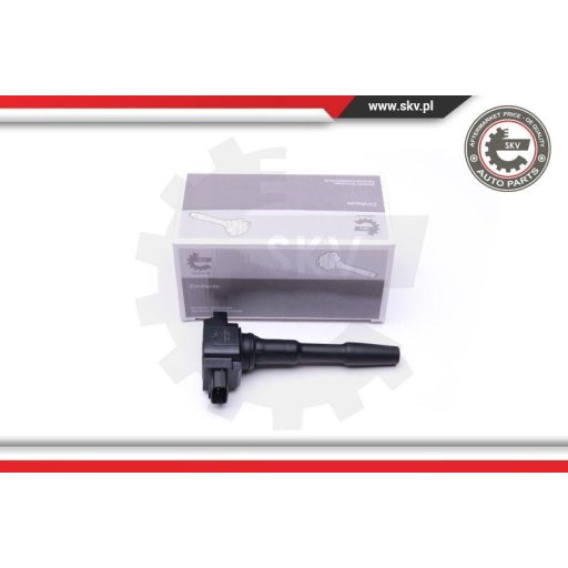 Gyújtótrafó ; DACIA Dokker Duster Logan Sandero II RENAULT Captur Clio IV ; 22433-2428R