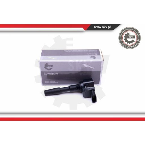 Gyújtótrafó ; AUDI A6 (C7) 4.0 ; 079905110N