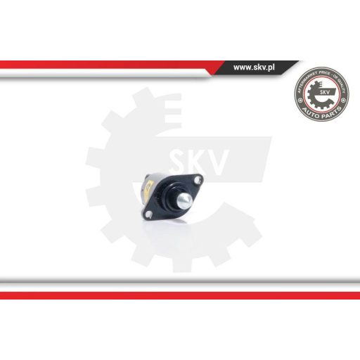 Üresjárati szelep ; RENAULT Clio Megane Kangoo ; 7701044401