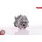 Szervó szivattyú ; AUDI A3 SEAT Leon SKODA Octavia VW Bora Golf Passat ; 1J0422154J