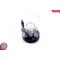 Szervó szivattyú ; DACIA Duster NISSAN Kubistar RENAULT Clio Megane ; 8200888505