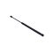 CSOMAGTÉRFEDÉL LENGÉSCSILLAPÍTÓ FORD 02-04 FERDEHÁTÚ 1313218