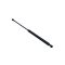 CSOMAGTÉRFEDÉL LENGÉSCSILLAPÍTÓ HYUNDAI ATOS PRIME (MX) 03- 8177006010