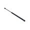 CSOMAGTÉRFEDÉL LENGÉSCSILLAPÍTÓ KIA SORENTO II 09- 817802P000
