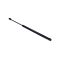 CSOMAGTÉRFEDÉL LENGÉSCSILLAPÍTÓ NISSAN PATHFINDER (R50) 97- 904601W301
