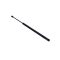 CSOMAGTÉRFEDÉL LENGÉSCSILLAPÍTÓ NISSAN PRIMERA 96- 904522F726