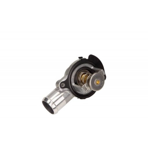 TERMOSZTÁT BMW 80C E46 X3 X5 E46 X3 X5 003-60-09793
