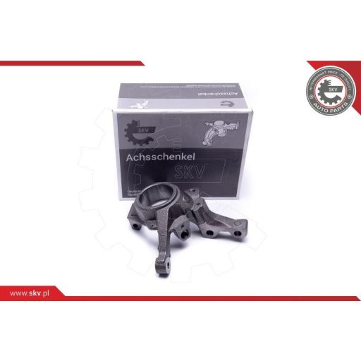 Csonkállvány ; bal ; RENAULT Kangoo Megane I  ; 8200150222