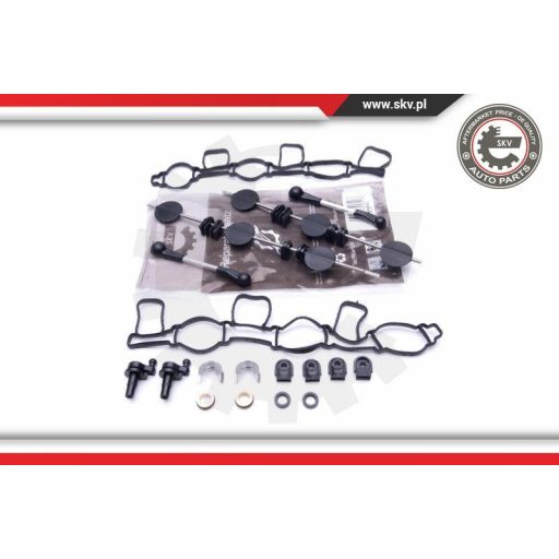Szívósor felújító ; AUDI A4 A6 A8 Q5 Q7 VW Phaeton Touareg ; 059129711CK / 059129712BQ