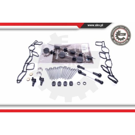 Szívósor felújító ; AUDI A4 A6 A8 Q5 Q7 VW Phaeton Touareg ; 059129711CK / 059129712BQ