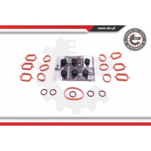 Szívósor felújító ; BMW E39 E60 E46 E53 E90 E83 M57 ; 6x22mm ;