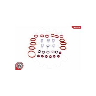   Szívósor felújító ; BMW E39 E60 E65 E46 E53 M57 ; 6x22mm ;