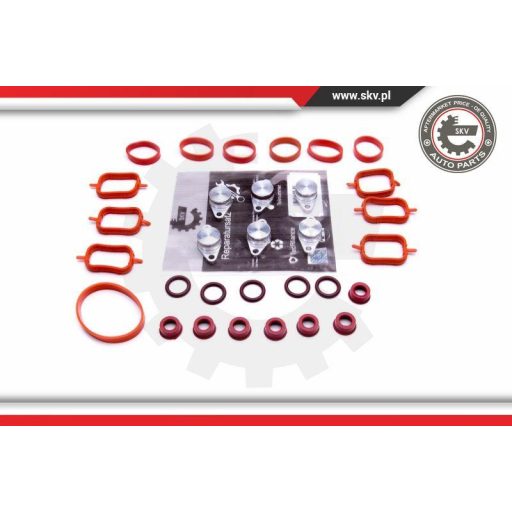 Szívósor felújító ; BMW E39 E60 E65 E46 E53 M57 ; 6x22mm ;