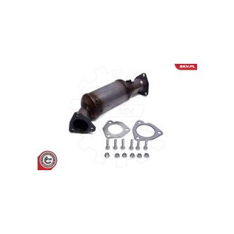   Katalizátor ; VW Passat B5 AUDI A4 B6 B7 A6 C5 SKODA Superb I ; 813189CX