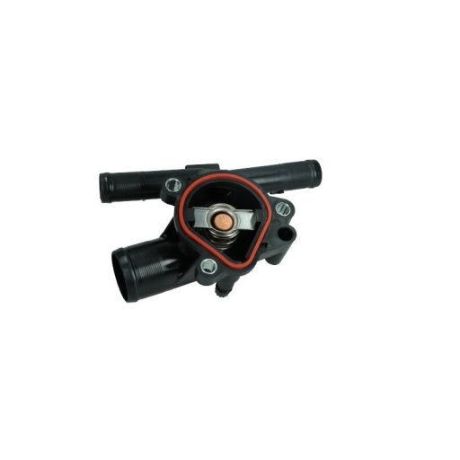 TERMOSZTÁT RENAULT 81C 2.3DCI MASTER 10-