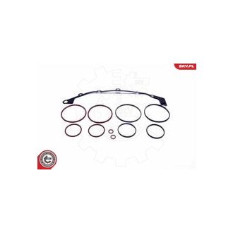   Szívósor felújító ; BMW Z3 E36 E38 E39 E46 E60 E61 E65 E66 X3 E83 X5 E53 Z4 E85 ; 11361440142