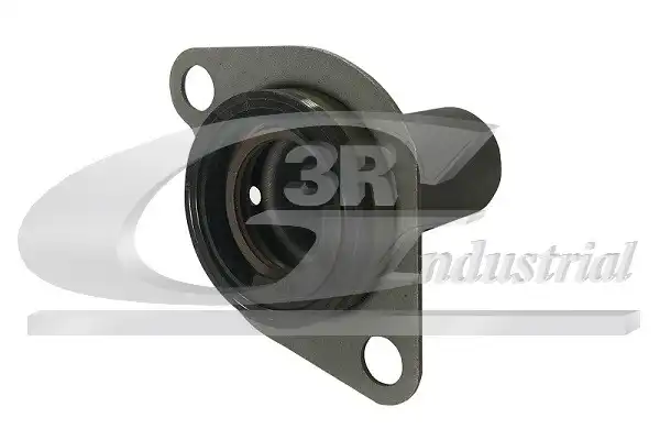 3RG 24239