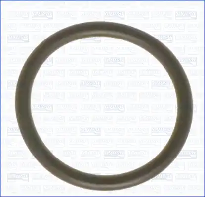 AJUSA 16022400