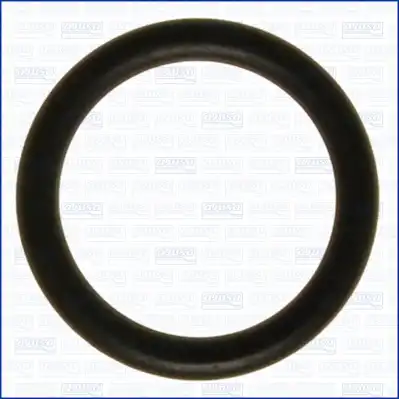 AJUSA 16072500