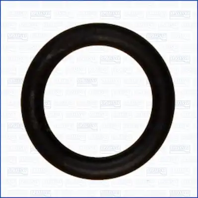 AJUSA 16079700