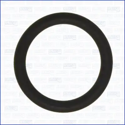 AJUSA 16099900
