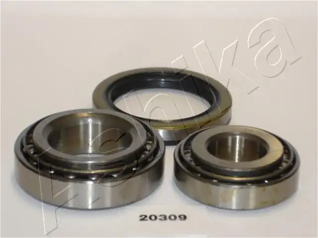 ASHIKA 44-20309