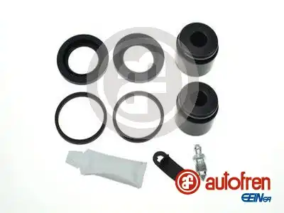 AUTOFREN SEINSA D42310C