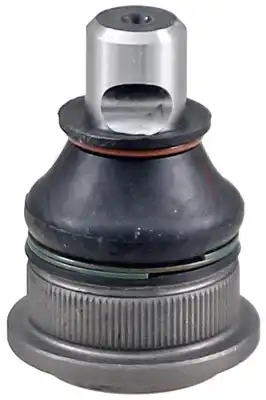A.B.S. 220619