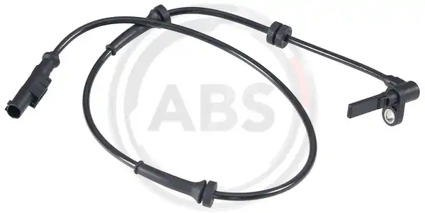 A.B.S. 30613
