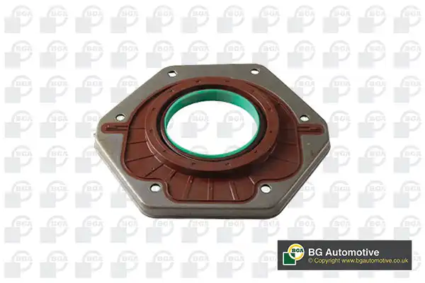 BGA OC6396