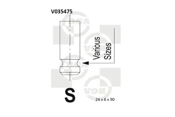 BGA V035475