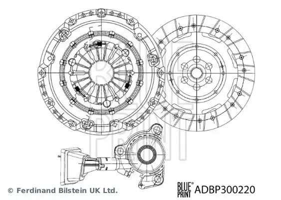 BLUE PRINT ADBP300220