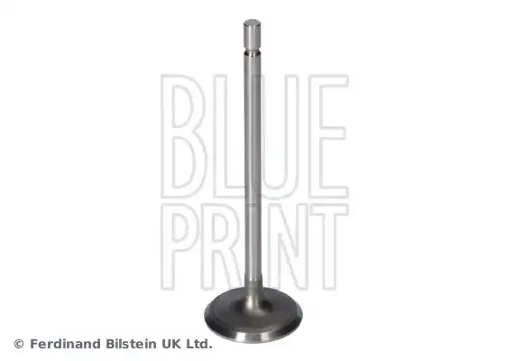 BLUE PRINT ADBP610135