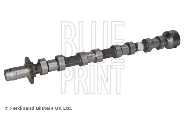 BLUE PRINT ADBP610137
