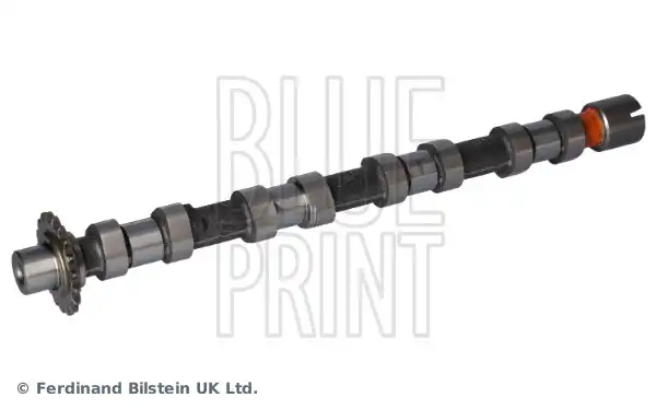 BLUE PRINT ADBP610138