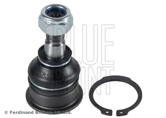 BLUE PRINT ADN18631