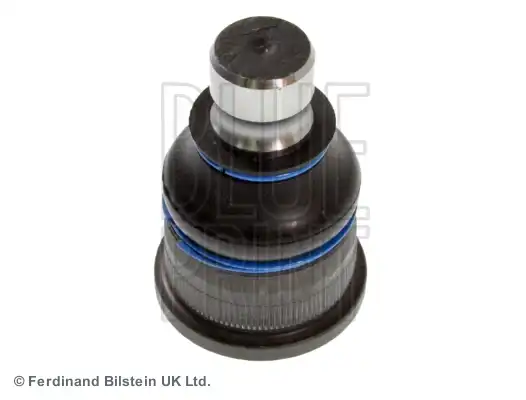BLUE PRINT ADN18689