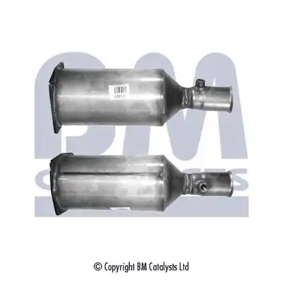 BM CATALYSTS BM11001