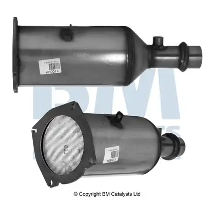 BM CATALYSTS BM11009