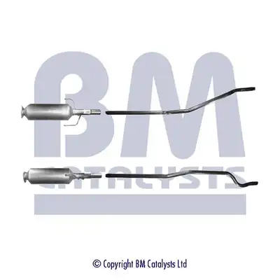 BM CATALYSTS BM11019