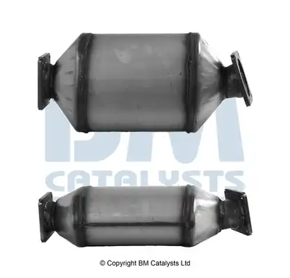 BM CATALYSTS BM11030