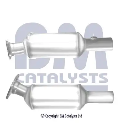 BM CATALYSTS BM11366