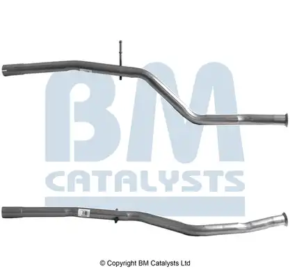 BM CATALYSTS BM50005
