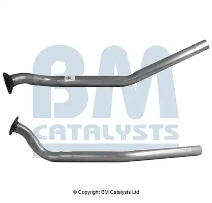 BM CATALYSTS BM50013