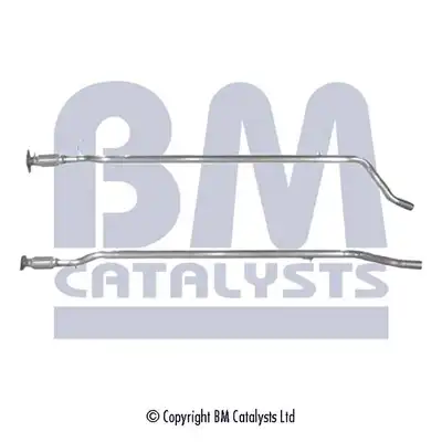 BM CATALYSTS BM50025