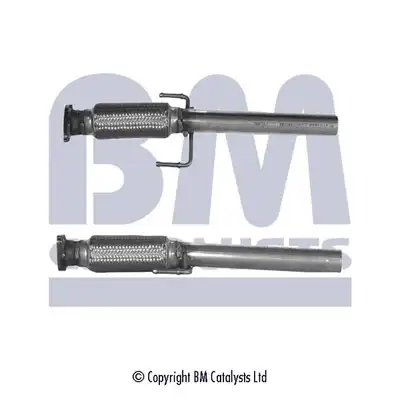 BM CATALYSTS BM50042