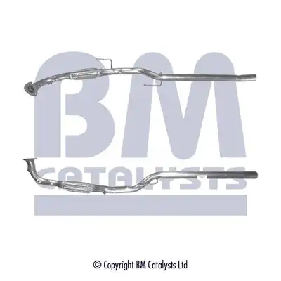 BM CATALYSTS BM50056