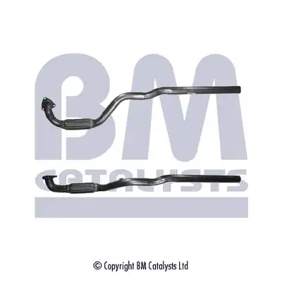 BM CATALYSTS BM50081