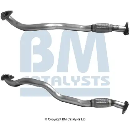BM CATALYSTS BM50096